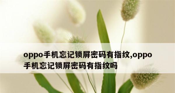 手机屏幕锁忘记密码怎么办?解锁方式有哪些?