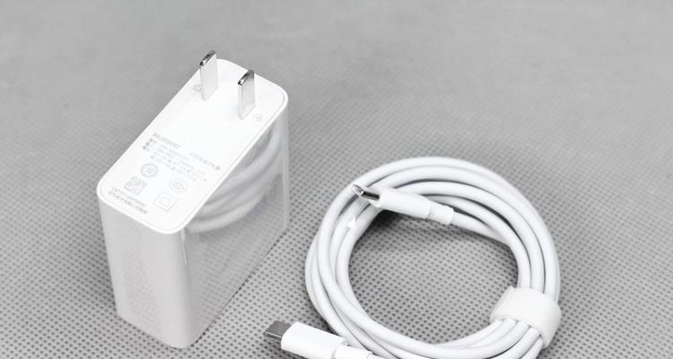 电摇机充电器使用方法是什么?充电时应注意什么?