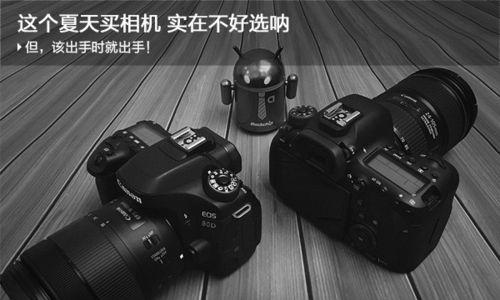 买不到数码相机时应如何应对？
